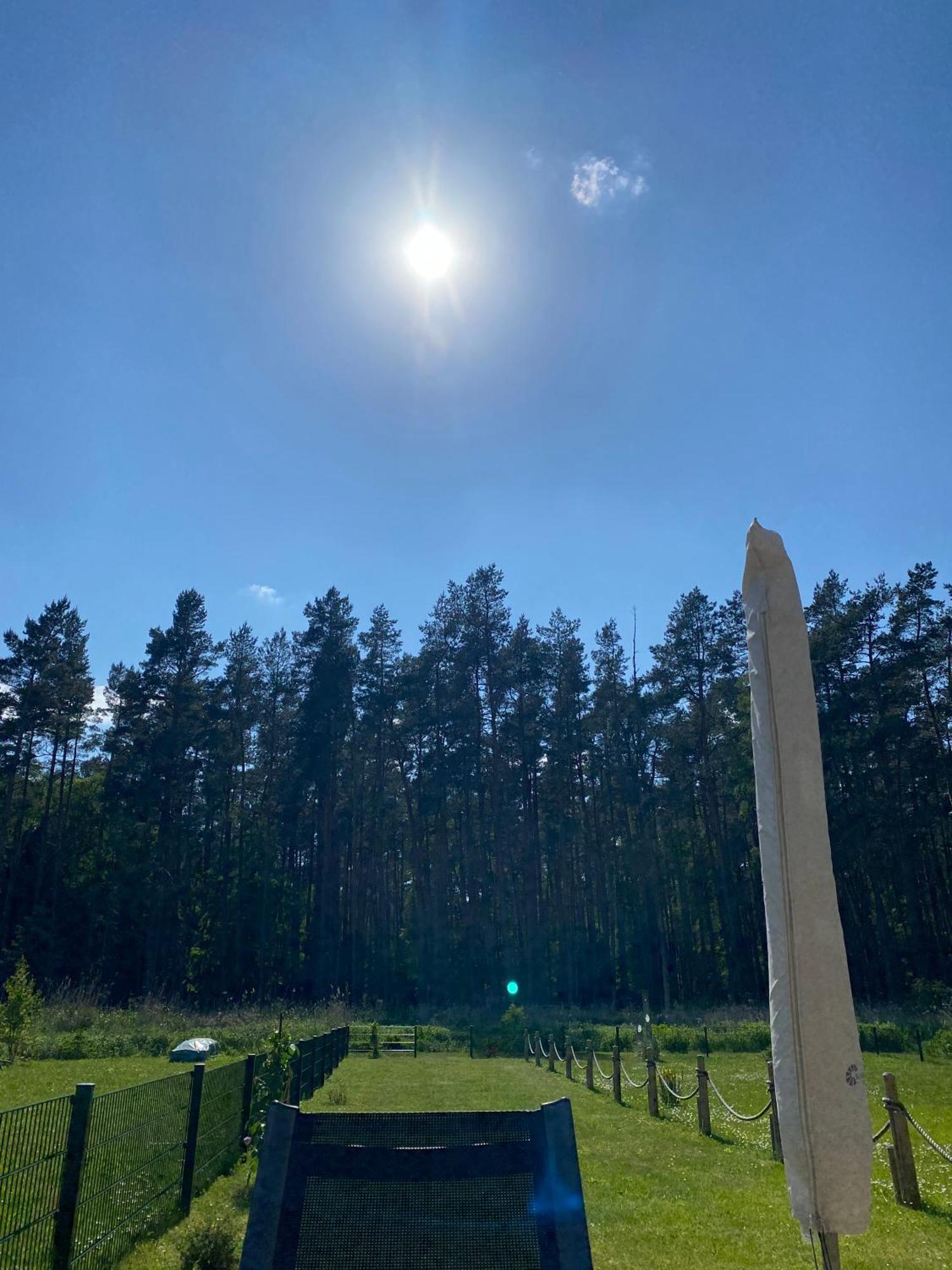 Lieblingsplatz im Küstenwald Graal-Müritz Gelbensande Exterior foto